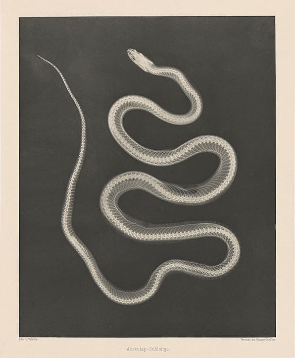 Audain Art Museum, Extended Moments, Whistler museum, art, photography