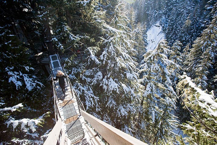 Ziptrek TreeTrek Tours, winter activities