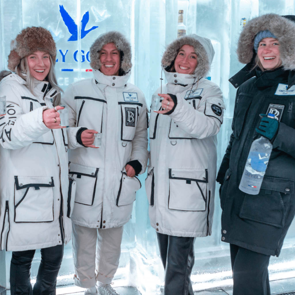 grey goose ice room