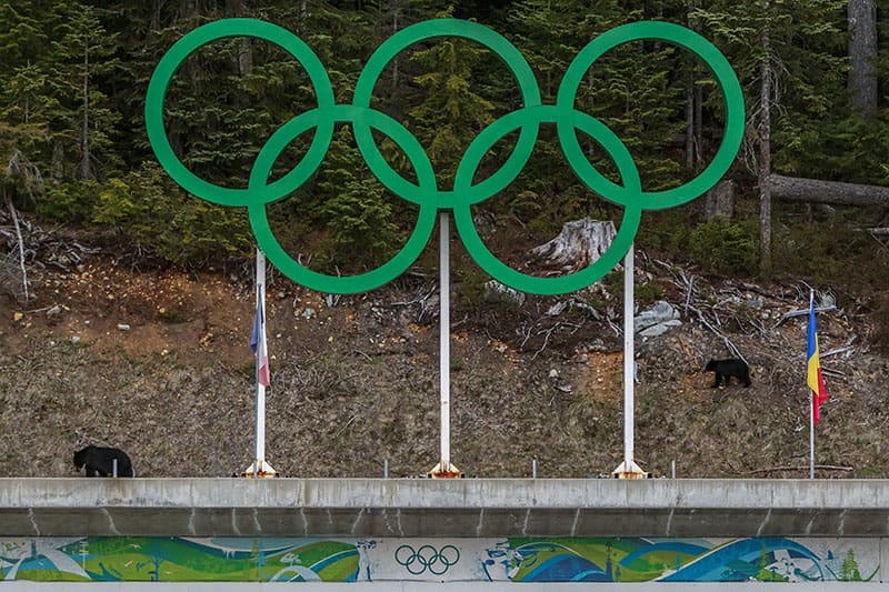 Freas Tracks Breakfast Whistler Blackcomb