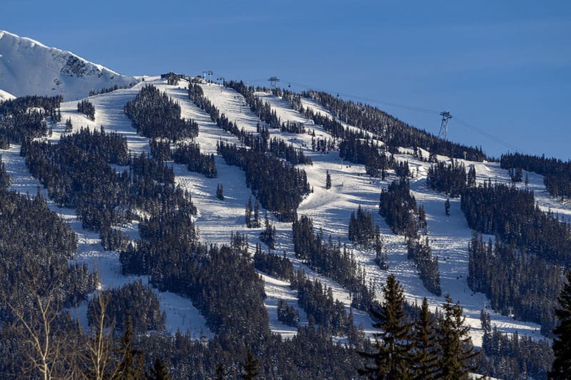 Alexander Falls. Callaghan Valley.