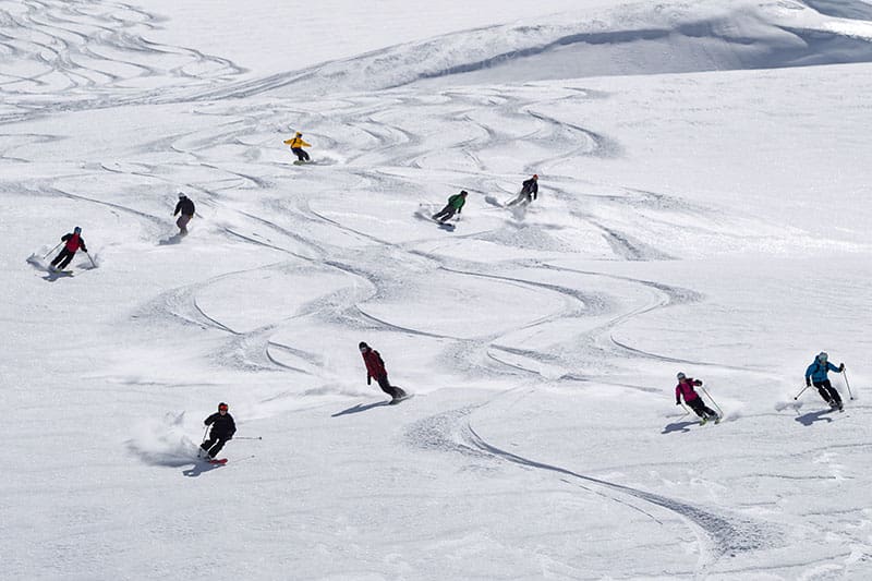 Whistler Farmers Market, summer.