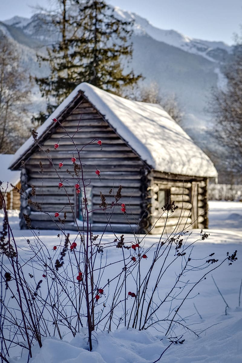 Peak 2 Peak Gondola, Whistler Blackcomb, sightseeing