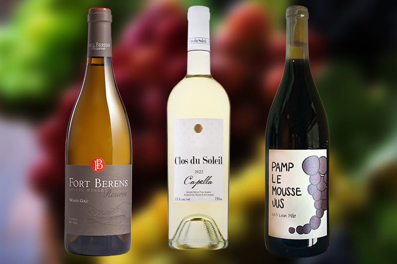 Sommeliers vine bottles