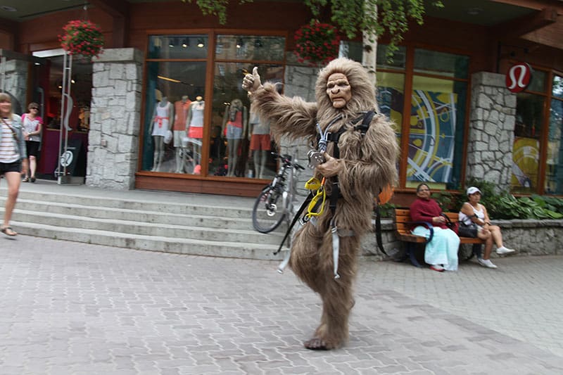 Ziptrek ecotour Whistler Sasquatch turns 10