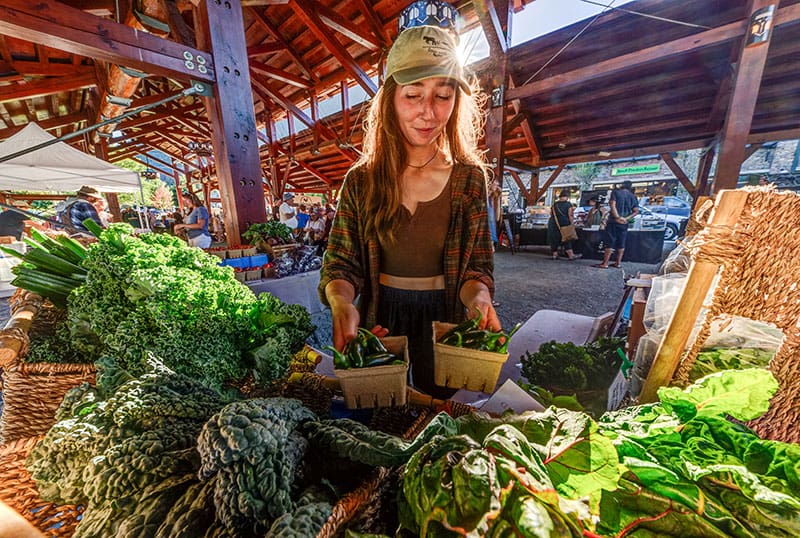 Sunny day at Pemberton Farmers Market