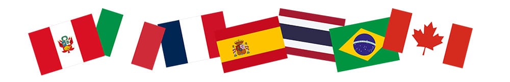 Dine Around the World in Whistler flags of the world banner