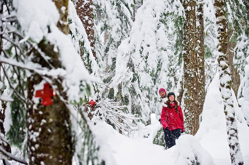 let's adventure Canadian wilderness adventures