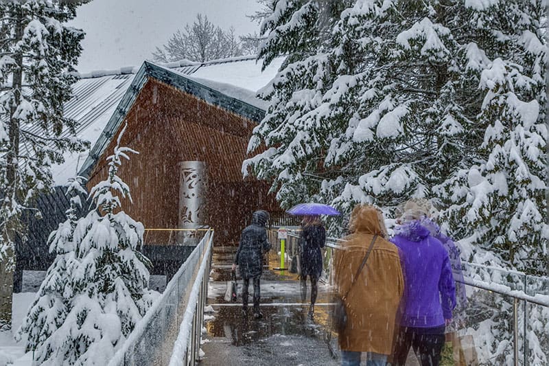 Use of this photo is governed by contract and intellectual property laws of Canada. This image remains the exclusive copyright property of the Creator. No rights are granted unless written contracts are in place. Let's adventure Audain Art Museum