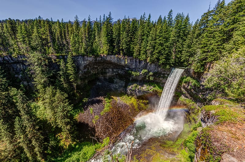 Whistler Farmers Market, summer.