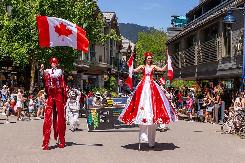 Whistler Black Bear.