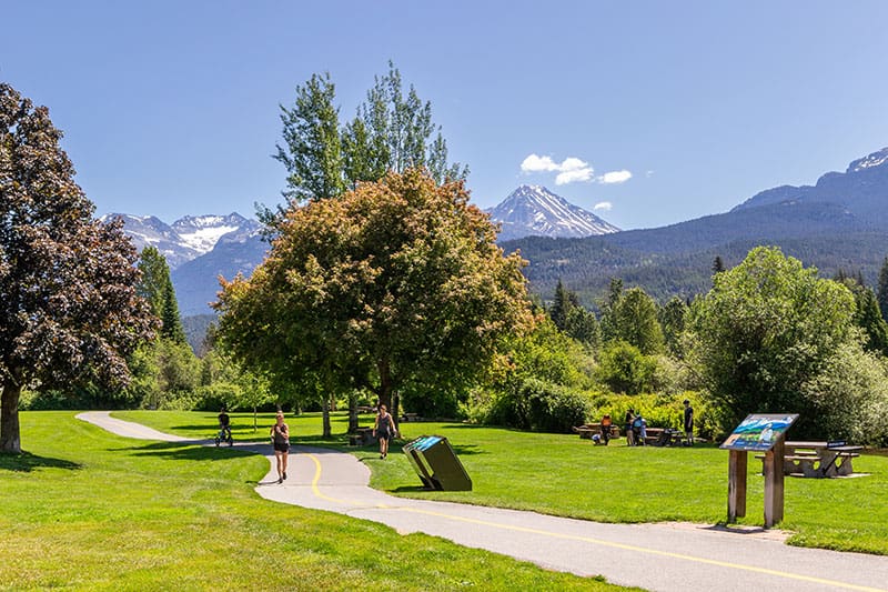 Summer Side of Whistler Meadow Park